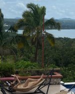 Golden hour, all day long… (8).jpg