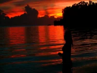 FB_IMG_1781915997551.webp