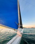 FB_IMG_1792049135045.webp