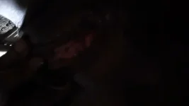 GTURPRNeFHOfRLSpsbKcdMQNa0P(1).webp