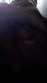 G6klJZxXlRiPTNqJuwNDzPvRt0E(16).webp