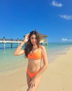 IMG_4846.jpeg